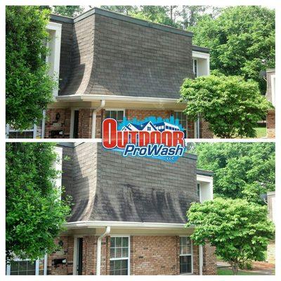 Roof Cleaning Services