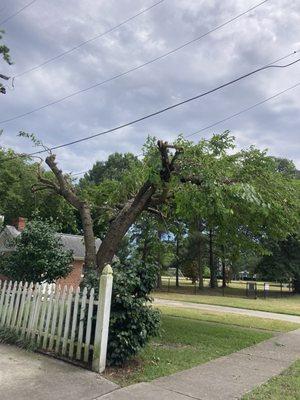 This company did sloppy work on my tree. I understand it had to be trimmed for the power line but they took way too much.