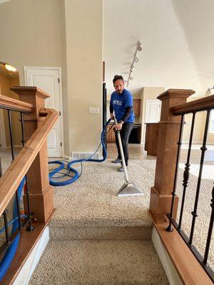 Expert Carpet Cleaning