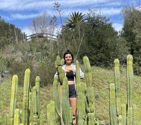 Braren has trained with with shamanic healers all over the world. (Featured here with San Pedro Medicine in Peruvian training).