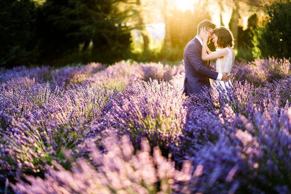 Woodinville Lavender