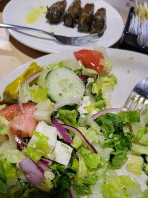 Half eaten greek salad and grape leaves, we were hungry and dug in