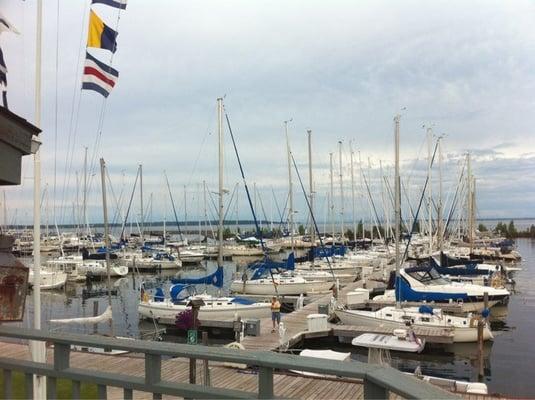 View of harbor from outside table.