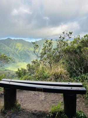 Makiki-Manoa Cliffs Hike