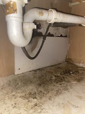 A rat hole under the sink