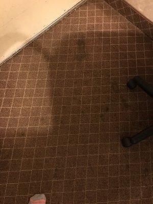 Stained carpet