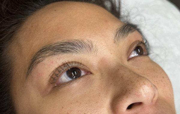 Brow wax and lash lift