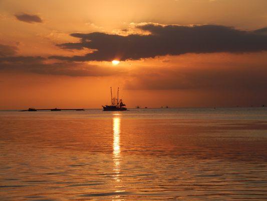 The Coastal Eco Tour at Sunset.