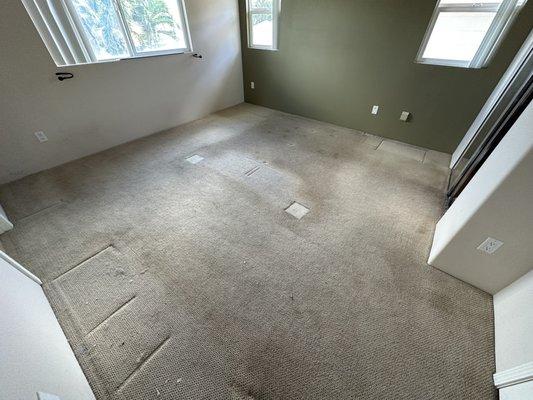 Years and years of with dogs killed this carpet.