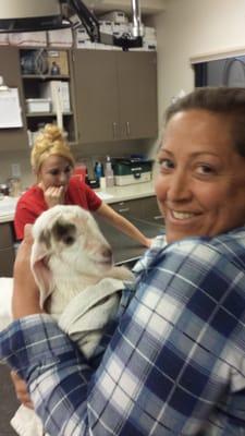 Thank you for the help in delivering our baby goats. Your compassion and skill saved there lives.