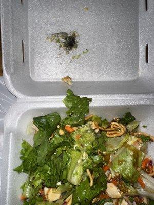 Hair in my Thai Chicken Salad!