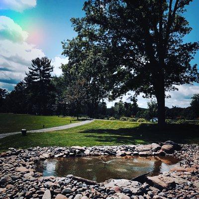 New solar pond aside the 3rd tee box.