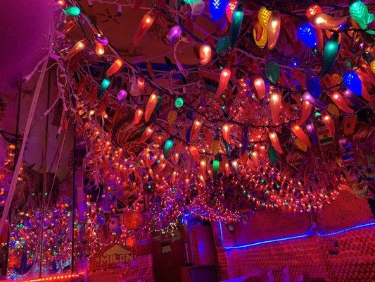 CRAZY LIGHTS! TIGHT SPACES! BOLLYWOOD MUSIC!