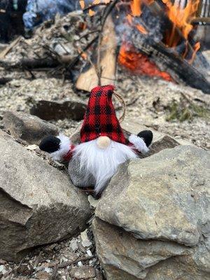 Cutie by the fire pit