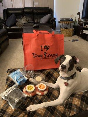 Mooney with her Dog Krazy haul!