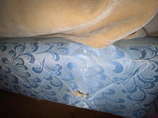 Holes in bed. Extremely old bed.