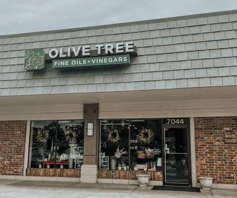 Olive Tree