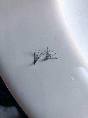 The lashes I found were not attached to a natural lash