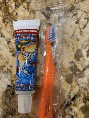 Tooth brush and paste