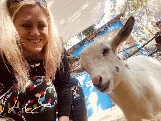 This goat seemed so anxious with the kids running around. I kept petting him and telling him he was ok lol