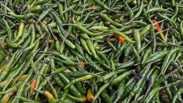 Thai Green Chilis