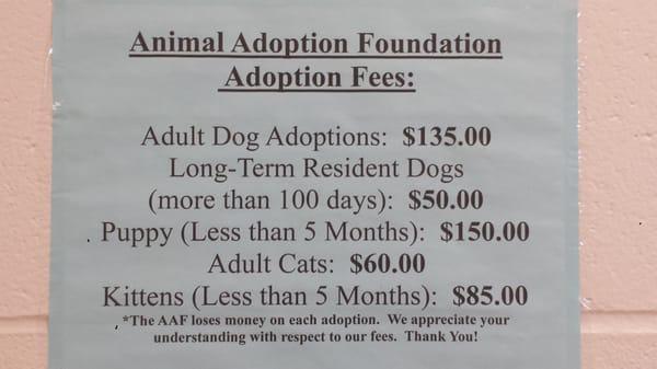 Prices to adopt a new companion!