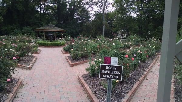 Inside the Rose Garden