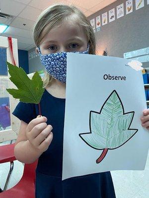 A Kindergartener's interactive Science observation assignment.