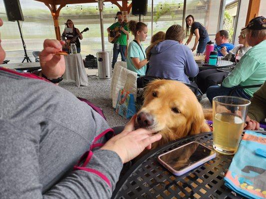 Our pup loved the charcuterie plate as much as we did, especially the apples