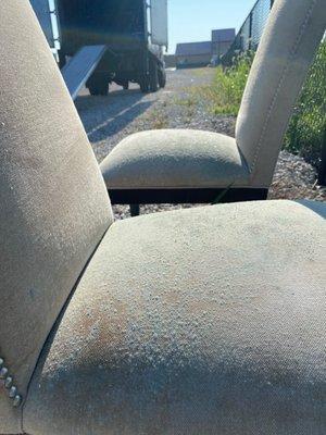 Moldy chairs