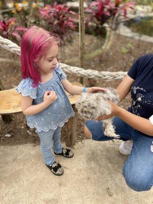 This employee helped Bri get over her fear of chickens.