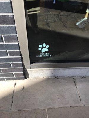 Dog Friendly, for those who bring their dogs everywhere