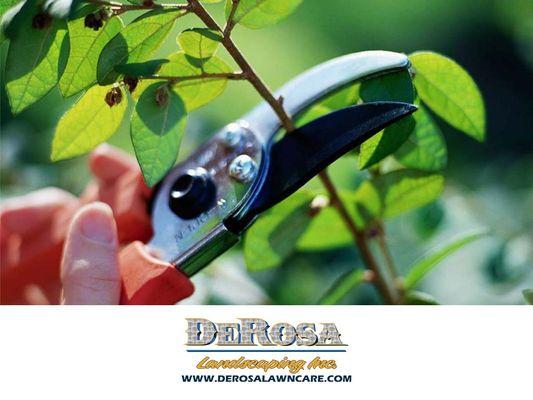 Derosa Landscaping