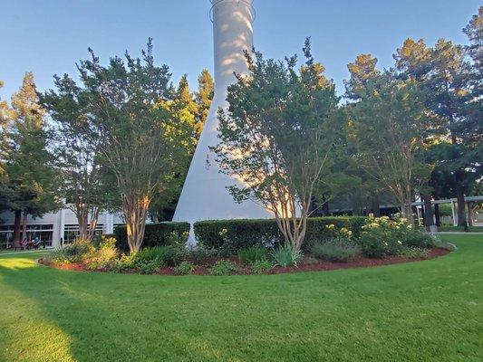 Vegetation around water tower