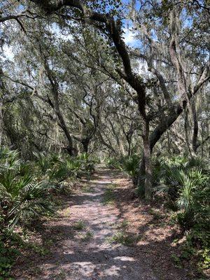 Bike trail