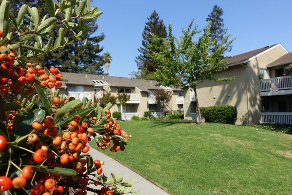 Courtyard; Miramar Plaza Apartments