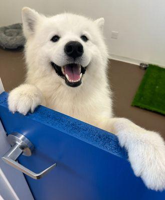 Happy boy hanging out in the playroom, waiting for mom.