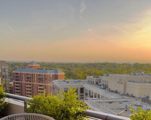 Rooftop view