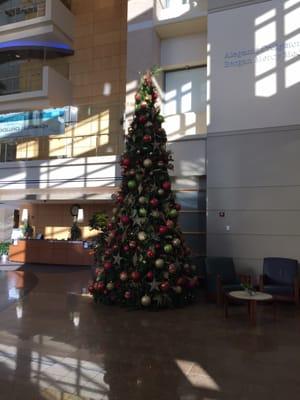 Beautiful Christmas tree in the lobby