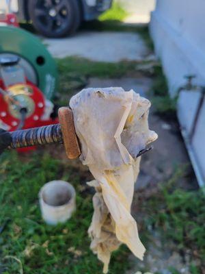 Paper wrapped in a plastic bag retrieved from sewer line.