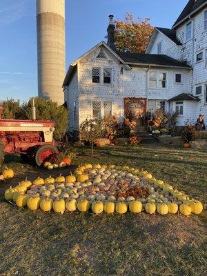 pumpkin and house photo op