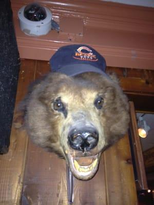 Daaa Bears!!