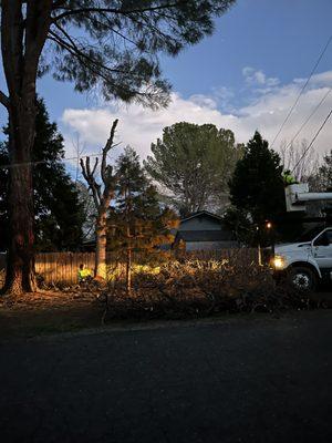 FC Valley Tree Care