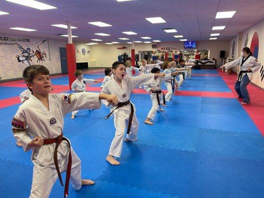 Taekwondo class