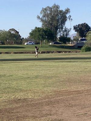 this homeless man's dog (pit bull) ran across the golf course to harass my dog, trying to dominate him and hump him.