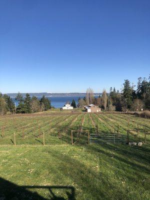 View from the upstairs patio