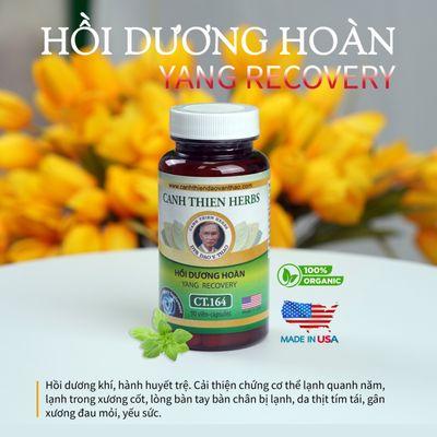 CT.164 YAN RECOVERY (HỒI DƯƠNG HOÀN)