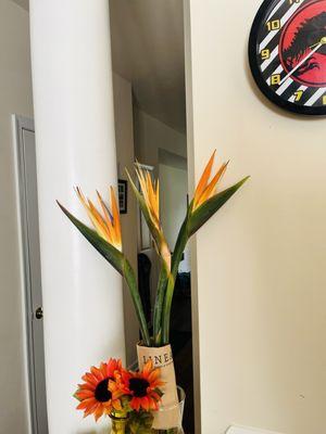 3 stems, bird of paradise