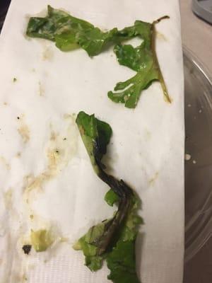 You can't raise prices and few weeks later give me this in the $10 salad. Disgusting!