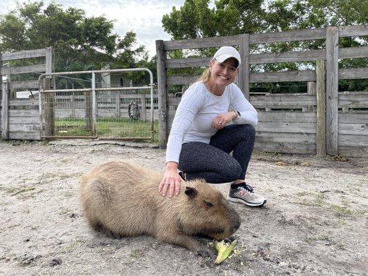 Capybara